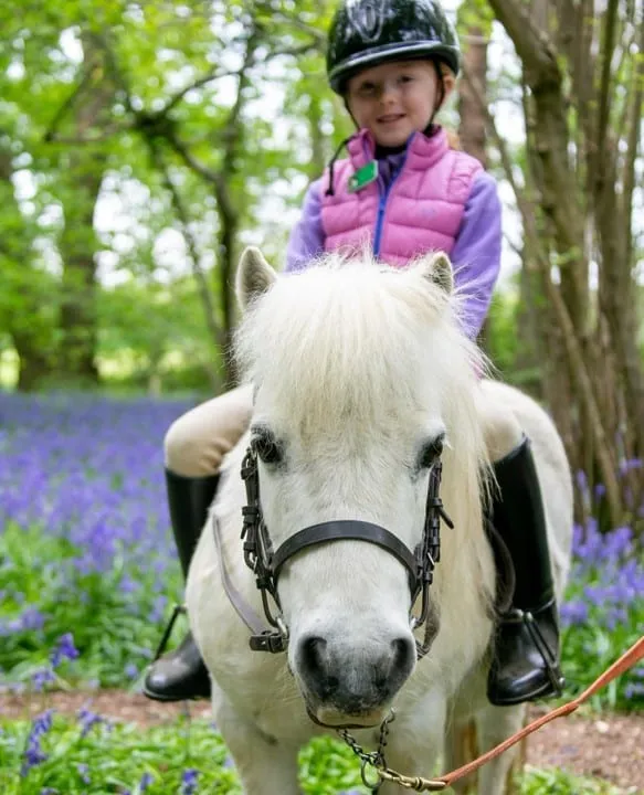 Ponies for Kids